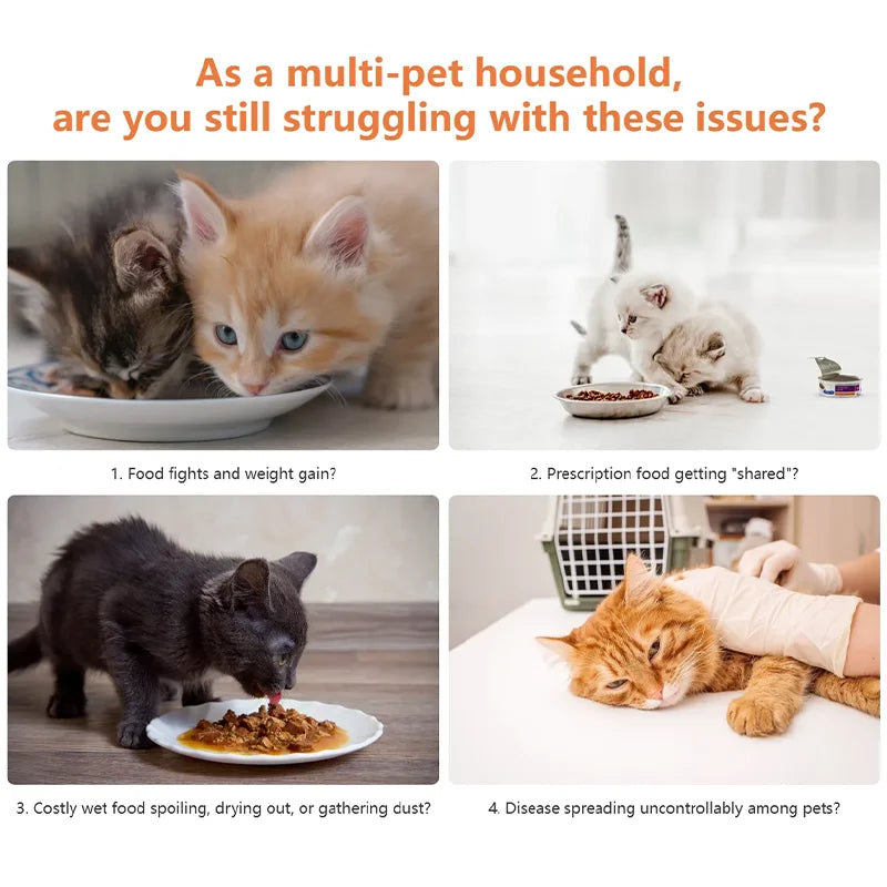 🍽️ COMEDERO INTELIGENTE PARA MICHIS. Sirve justo a tiempo y en la cantidad ideal.