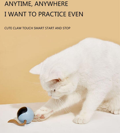 Fofos Two Lucky Raccoon Magic Ball Cat Toy Electric Intelligent Automatic Funny Cat Ball Relieve Boredom And Bite Led Light