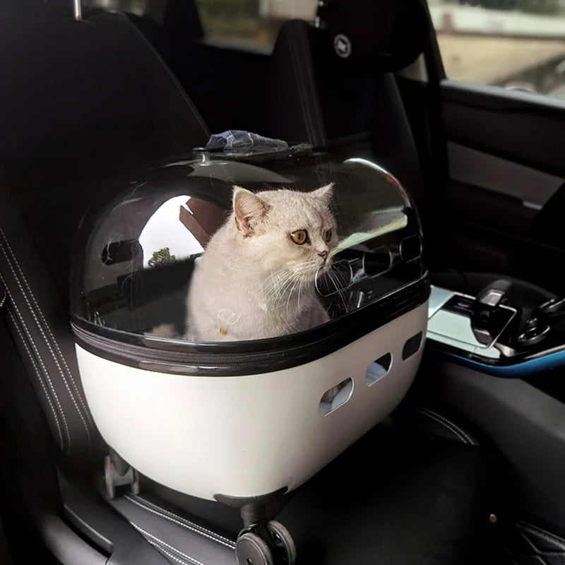 ✨ BURBUJA VIAJERA - Para que tu peludo viaje cómodo, seguro y viendo el mundo contigo.