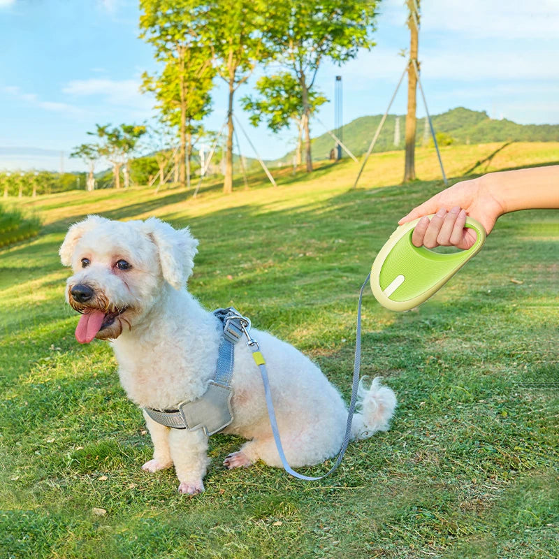 🚶‍♂️CORREA EXTENSIBLE- Aventuras divertidas y seguras con color.