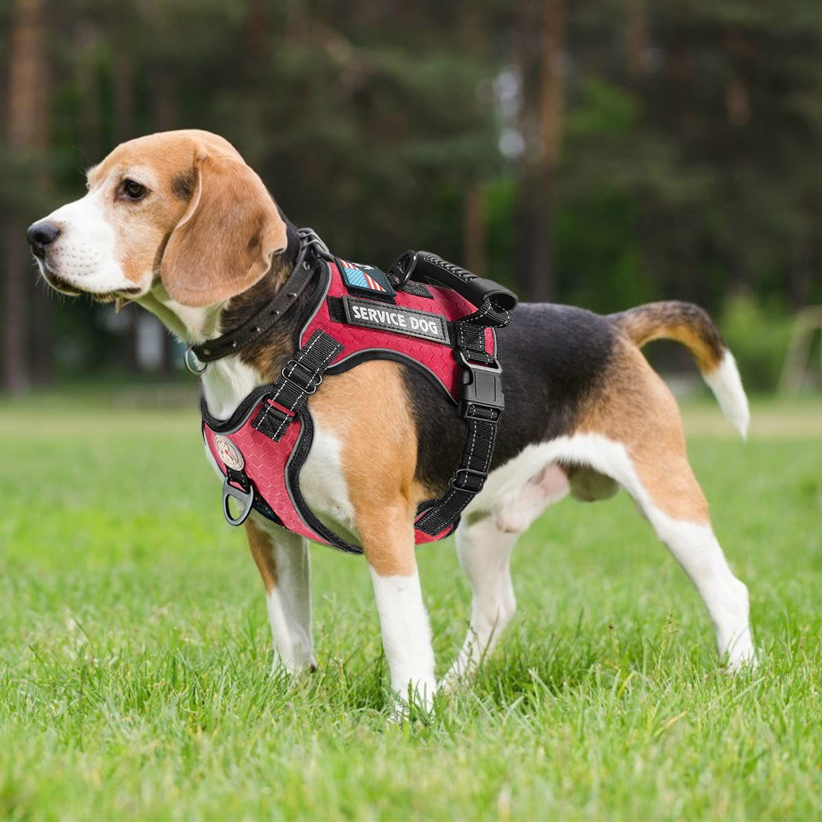 New Explosion-Proof Shock-Absorbing Comfortable Pet Chest Harness Dog Vest-Type Traction Chest Harness